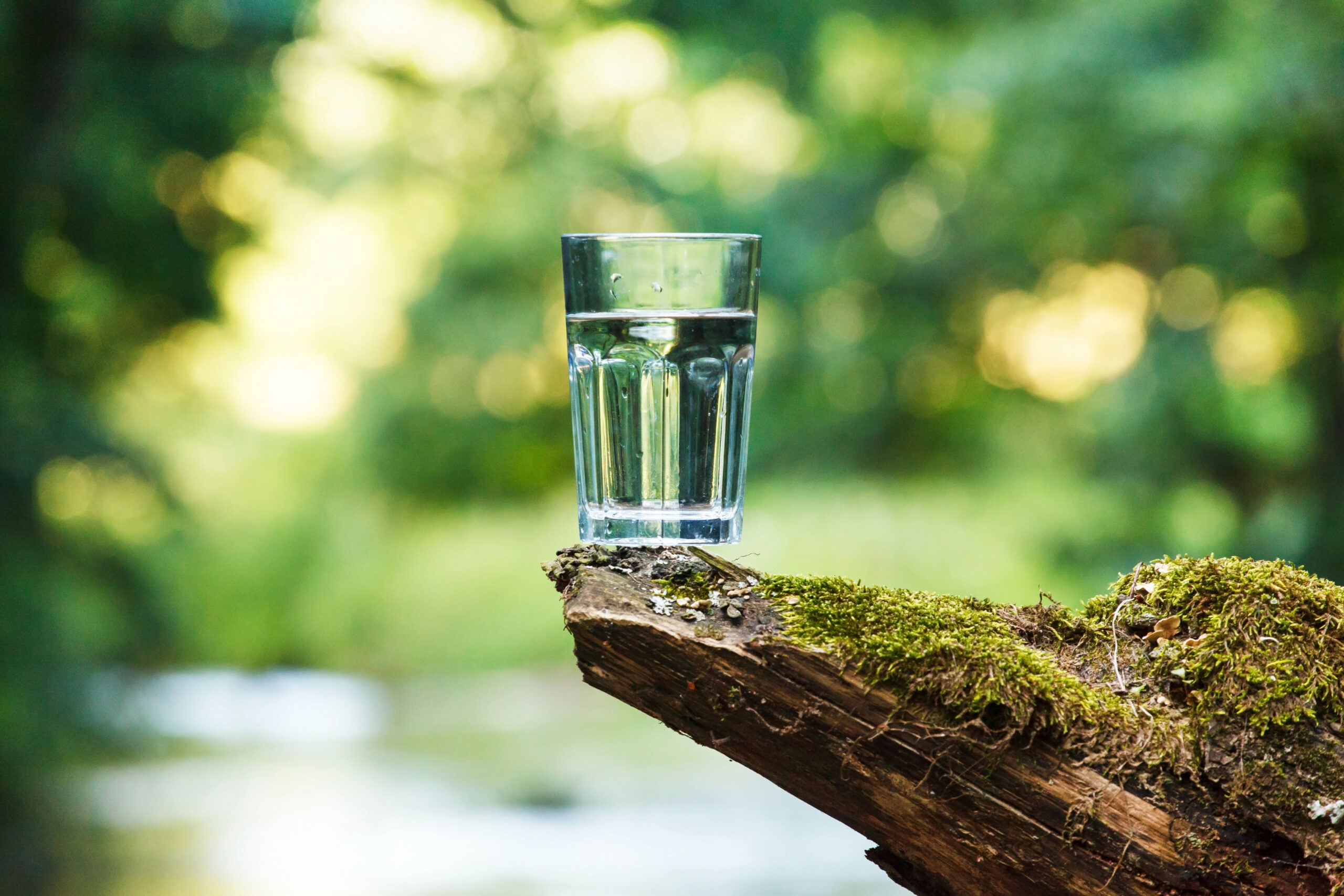 Clear glass of drinking water placed on a moss-covered log with a blurred natural green forest background.
